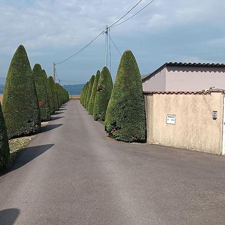 Charmante Maison Avec Piscine Anneyron Экстерьер фото